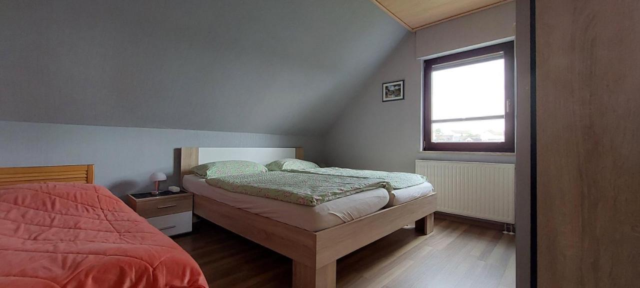 Fewo-Schmidt-Im-Erzgebirge Gelenau ภายนอก รูปภาพ