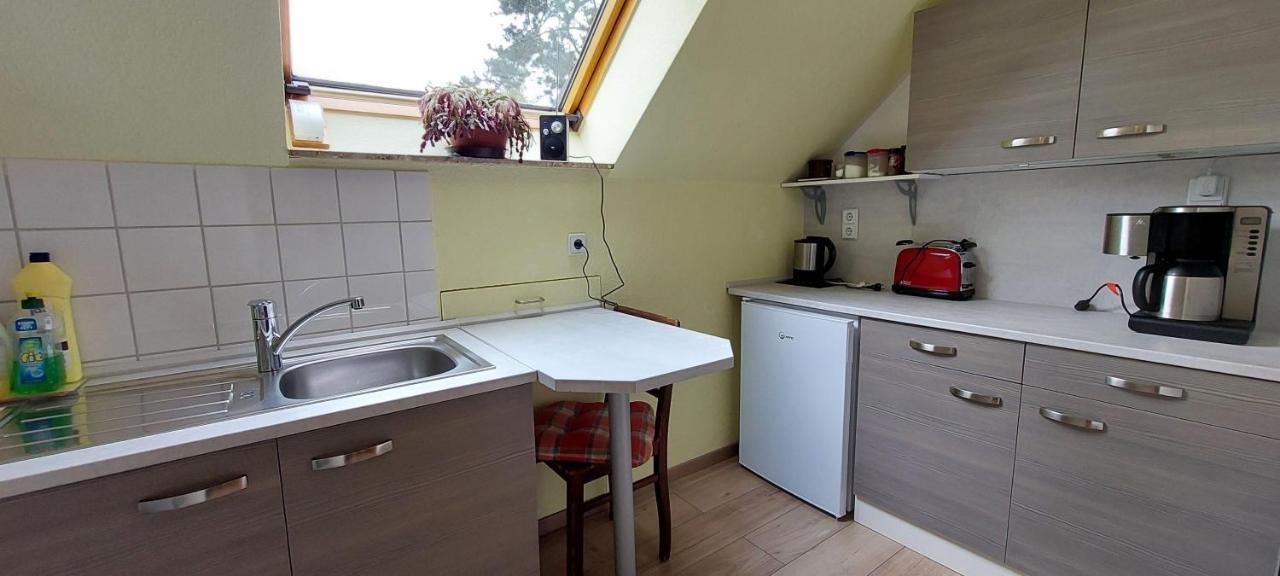 Fewo-Schmidt-Im-Erzgebirge Gelenau ภายนอก รูปภาพ